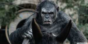 Планета обезьян: Революция 2014 смотреть фильм онлайн в HD качестве